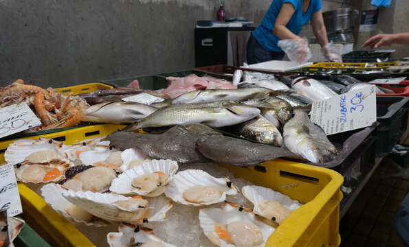 Inside the fish market in Rijeka, Croatia.