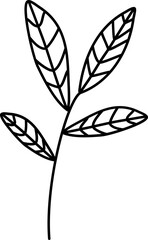 Floral Leaf Line Art