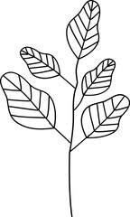 Floral Leaf Line Art