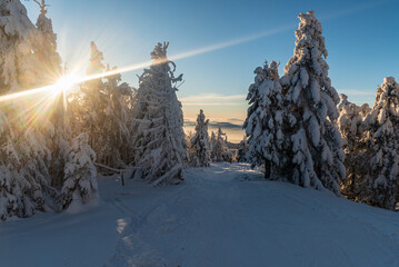 Winter bellow Velka Raca hill summit in Kysucke Beskydy mountains in Slovakia