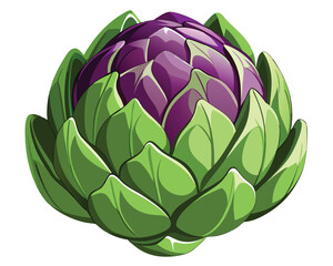 Artichoke vector illustration on white background