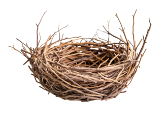 Empty bird's nest made of twigs on a white background. PNG transparent.