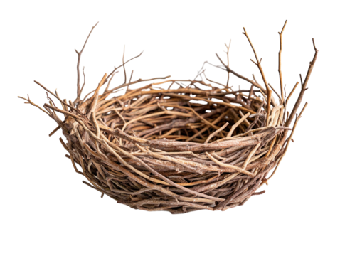 Empty bird's nest made of twigs on a white background. PNG transparent.