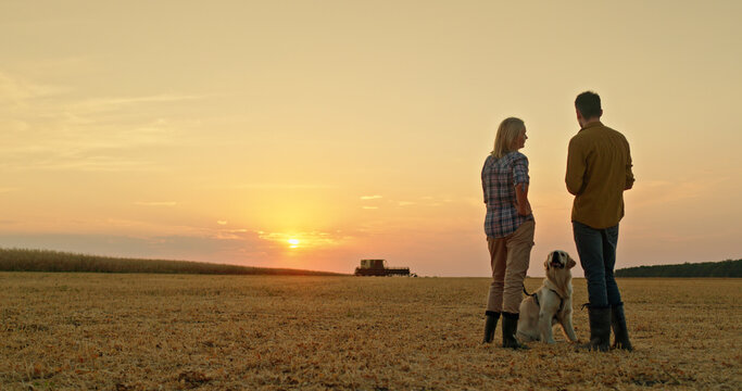 A farmer couple chats in a field at sunset, with their dog beside them and a combine harvester working in the distance.