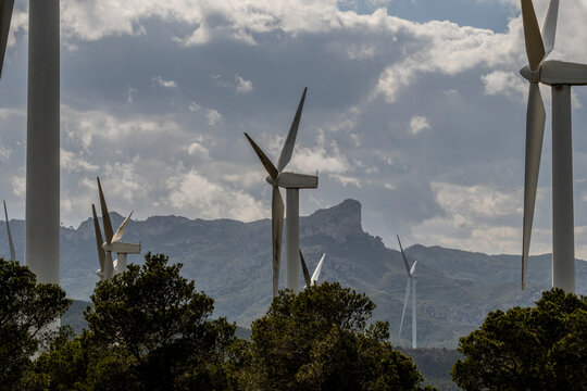 A wind farm with numerous turbines is set against a mountain range with trees under a cloudy sky, illustrating the convergence of technology and nature in sustainable energy efforts in Tarragona Spai