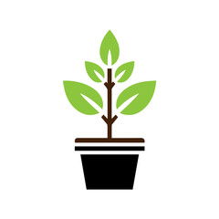 Plant in flower pot icon 