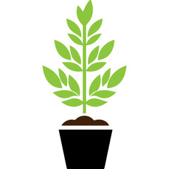 Plant in flower pot icon 