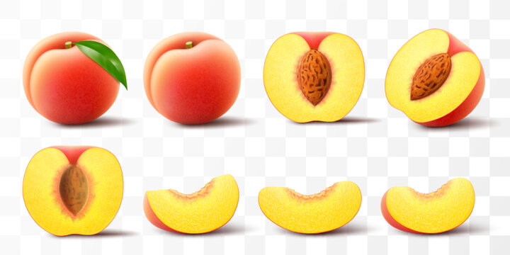Ripe peach fruit illustration. Half, whole and slice of juicy peach isolated on transparent background. Realistic 3d vector set. Velvety, golden-orange plant with green leaf