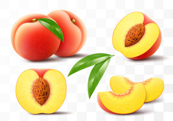 Ripe peach fruit illustration. Half, whole and slice of juicy peach isolated on transparent background. Realistic 3d vector set. Velvety, golden-orange plant with green leaf