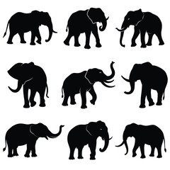 Elephant Silhouette Collection Black Vector Set Isolated on White Background