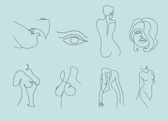 A set of linear illustrations of women and bodies in different positions