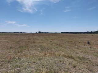 Obraz premium View of Hungarian Puszta, grasslands of the Great Hungarian Plain. Kiskunság National Park. Flat, dry land. Beautiful rural scenery in the countryside.