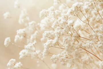 Delicate White Baby's Breath Flowers