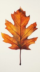 Obraz premium A Single, Dried, Orange Leaf with Visible Veins