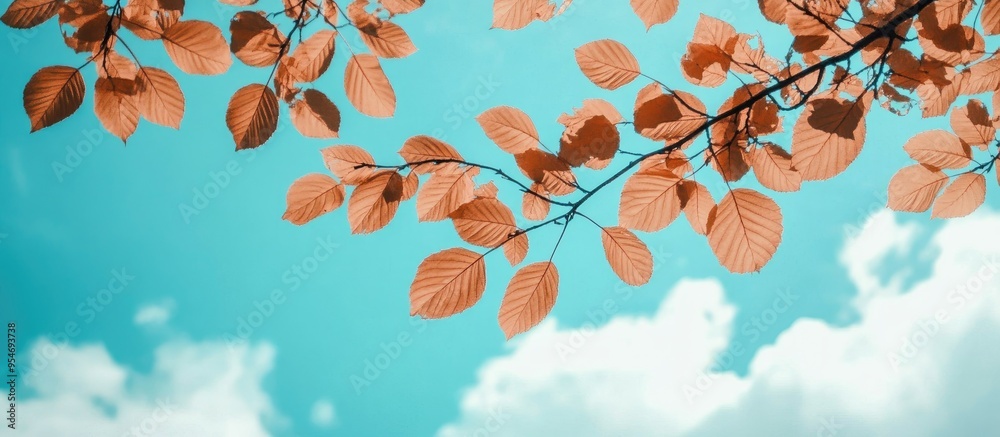 Leinwandbilder leaves and the sky. with copy space image. place for adding text or design