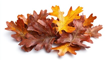 Obraz premium Pile of Dried Oak Leaves with Varying Shades of Brown and Yellow