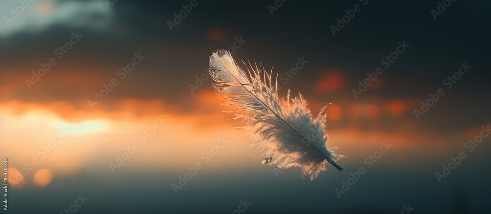 Poster dark romantic evening sky black fluffy clouds gentle pastel hues asymmetrical silhouette and feather