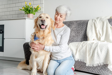 Woman With Grey Hair Enjoys Time At Home With Golden Retriever
