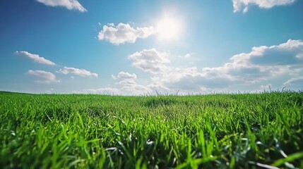 Fototapeta premium Beautiful natural scenic panorama green field of cut grass into and blue sky with clouds on horizon. Perfect green lawn on summer sunny day with generative ai