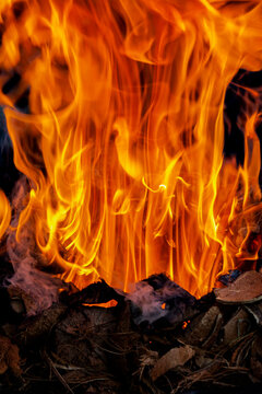 Close-up of a fire burning with Coconut Shells