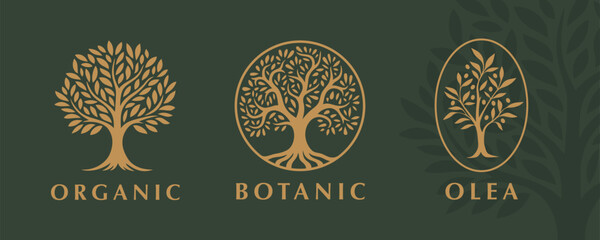 Sophisticated set of tree logos featuring organic and botanical designs. Perfect for branding in eco-friendly, natural, or botanical-themed businesses and projects.