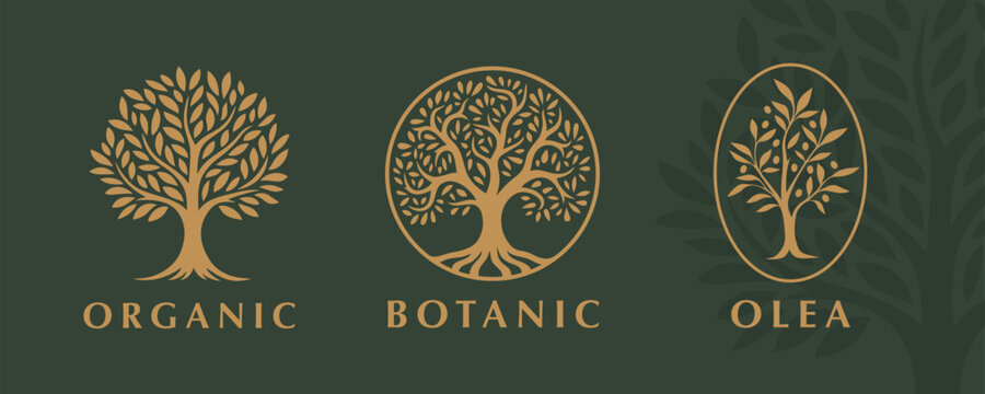 Sophisticated set of tree logos featuring organic and botanical designs. Perfect for branding in eco-friendly, natural, or botanical-themed businesses and projects.
