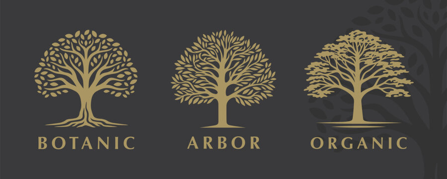 Sophisticated set of three tree vector logos with botanical themes, perfect for nature-inspired branding and organic businesses.