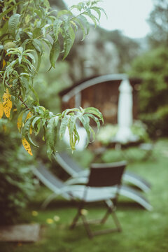 Defocussed view of sun loungers and a parasol in a summer garden, Spain