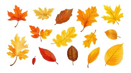 Autumn leaves from maple, chestnut, and oak trees in yellow, orange, and red. Perfect for patterns, banners, stickers, or fall-themed cards. Vector illustration on a white background. 