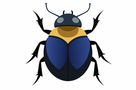 Beetle Bug Vector