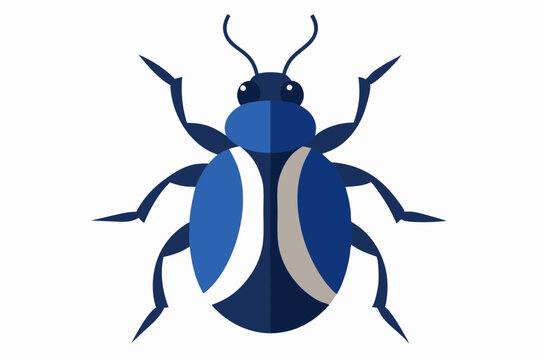 Beetle Bug Vector