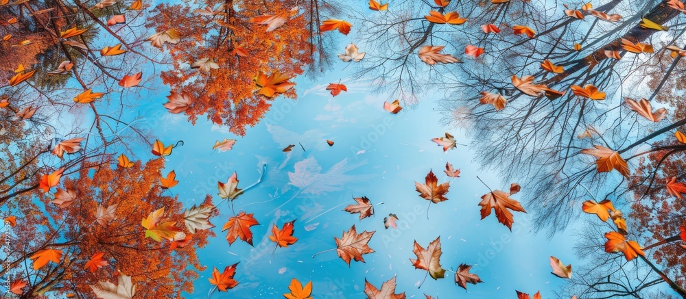 Poster colorful maple leaves are scattered on a macrame style decorated mirror the mirror captures the refl