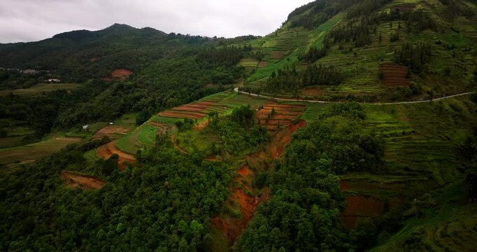 Scenic driving road, Ha Giang loop natural trail through terraced rice paddy fields, Drone shot