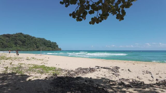 Tropical Wizard Beach on Bastimentos Island with clear skies and lush greenery