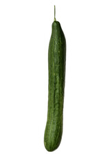 green cucumber