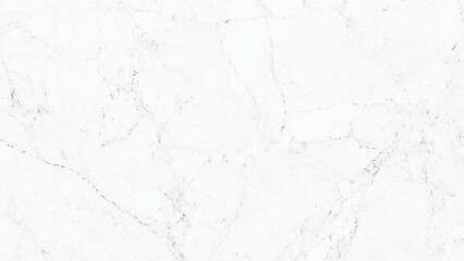 white Marble line background vector art texture illustration, marble patterned stone of Thailand, 