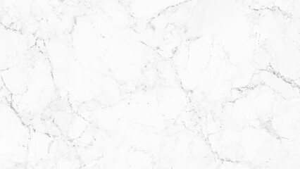 Natural white marble texture background, abstract, floor, marble, interior, room, space, wallpaper, vintage, texture, modern, surface, stone, studio, white, architecture, light, wall, blan