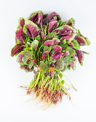 A handful of fresh vegetable purple amaranth on a white background