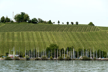 Fruit and wine growing on Lake Constance, Germany