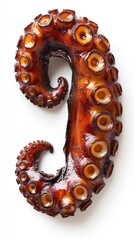 Close-up of a Cooked Octopus Tentacle with Suckers