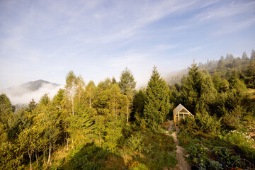 A secluded greenhouse nestles in the heart of a lush forest, offering a peaceful retreat and a self-sustaining way of life amidst the beauty of nature