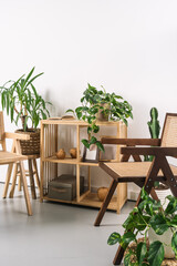Cozy indoor corner featuring wooden chairs and a stylish plant shelf with various greenery in a minimalist setting