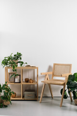 Modern wooden chair and shelf with plants in a minimalist interior setting