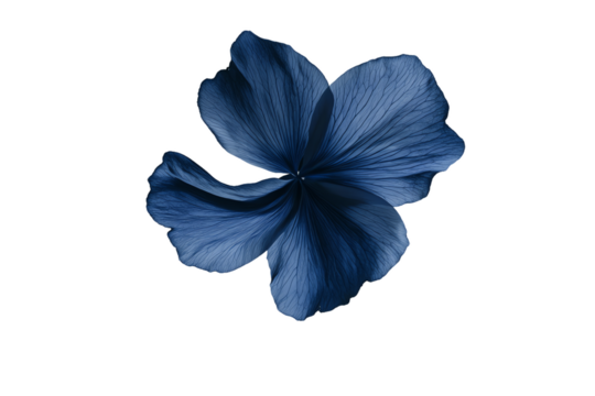 Indigo Bloom: Abstract Floral Study, Deep Blue Petals - Powered by Adobe