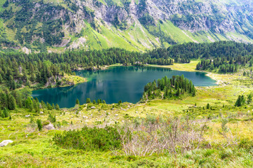 Fototapeta premium A view of the Cavlocc lake, in Engadine, Switzerland, and the mountains that surround it. 