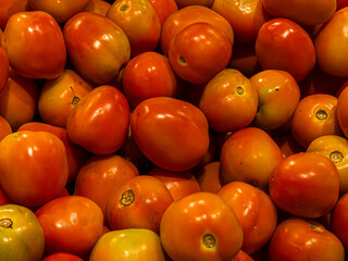 Close-up shot of tomato in a Supermarket
