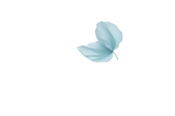 Ethereal Blue Petals Floating on White Background