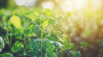 Green Leaves Connected by Network, Sustainable Agriculture and Technology Innovation Concept.