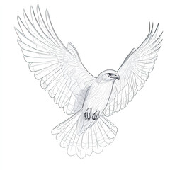 Obraz premium Geometric Falcon Line Art Illustration