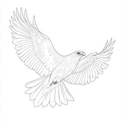 Obraz premium Geometric Falcon Line Art Illustration